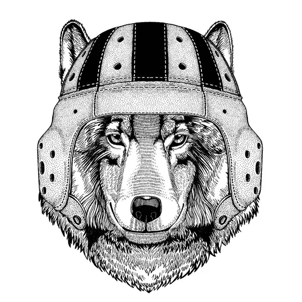 Cool animal wearing rugby helmet Extreme sport Wolf Dog Wild animal Hand drawn illustration for tattoo, emblem, badge, logo, patch, t-shirt — Stock Vector