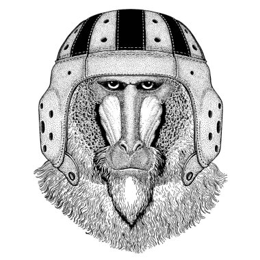 Rugby kask aşırı spor oyunu giyen serin hayvan