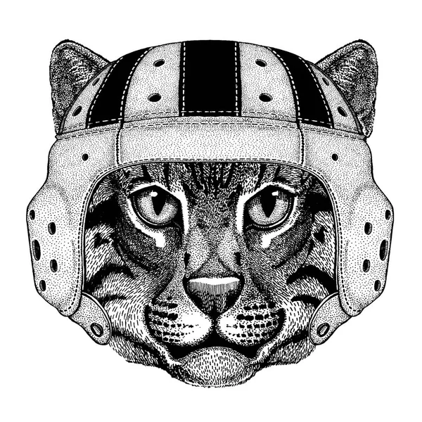 Cool animal wearing rugby helmet Extreme sport game Wild cat Fishing cat Hand drawn image for tattoo, emblem, badge, logo, patch — Stock Vector