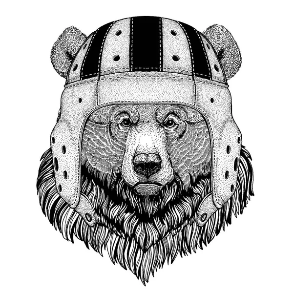 Urso animal legal vestindo capacete de rugby jogo de esporte extrema — Vetor de Stock