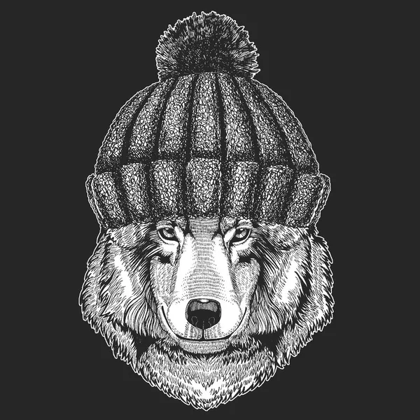 Bonito animal vestindo chapéu de inverno de malha Wolf Dog Imagem desenhada à mão para tatuagem, emblema, emblema, logotipo, patch —  Vetores de Stock