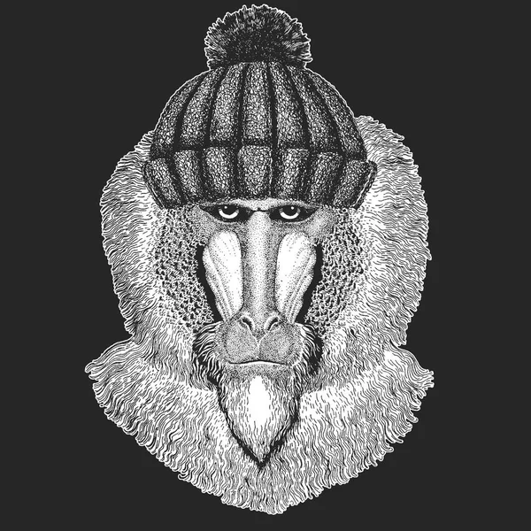 Mignon animal portant un chapeau d'hiver tricoté Singe, babouin, chien-singe, singe Image dessinée à la main pour tatouage, emblème, insigne, logo, patch — Image vectorielle