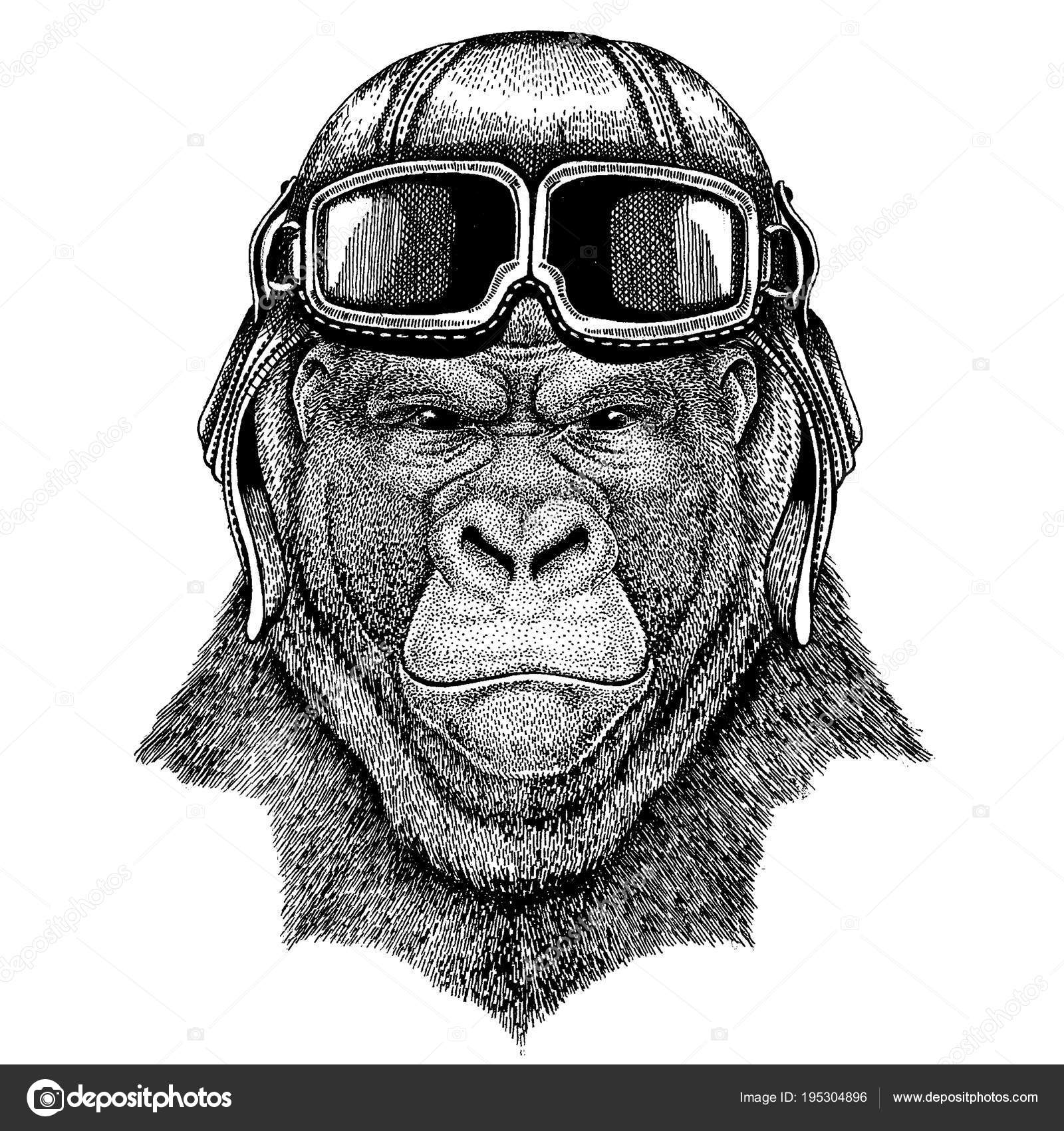 Tier mit Fliegerhelm und Brille. Vektorbild. Gorilla, Affe