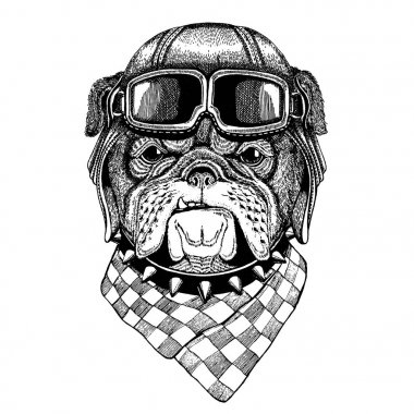 Hayvan giyen havacı kask gözlüklü. Vektör resim. Bulldog, köpek. El vintage resim çizilmiş tişört, dövme, amblem, rozet, logo, yama için