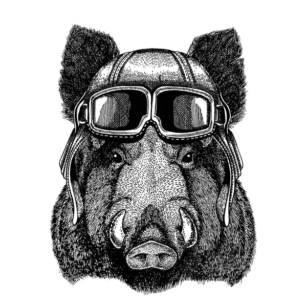 Животное в авиационном шлеме с очками. Векторное изображение. Кабан, кабан, кабан, кабан, кабан, кабан Ручной рисунок для футболки, татуировки, эмблемы, значка, логотипа, пластыря — стоковый вектор
