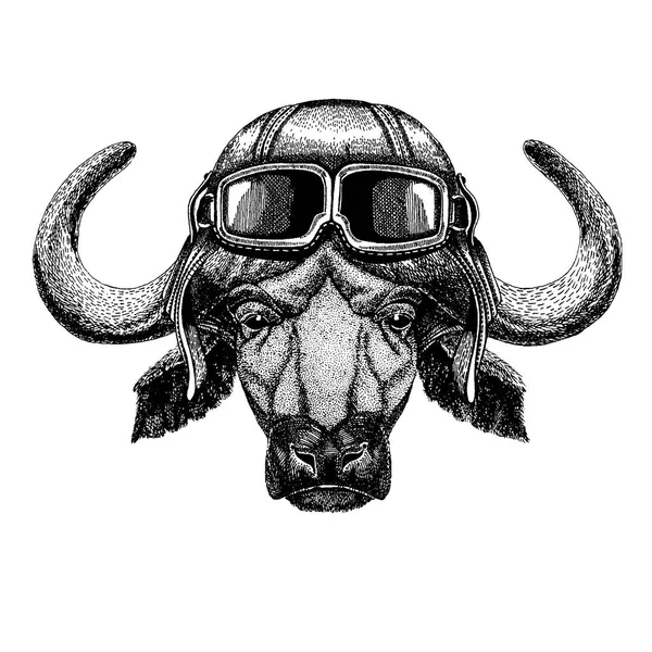 Animal con casco de aviador con gafas. Imagen vectorial. Buffalo, toro, buey ilustración dibujada a mano para el tatuaje, emblema, insignia, logotipo, parche, camiseta — Vector de stock