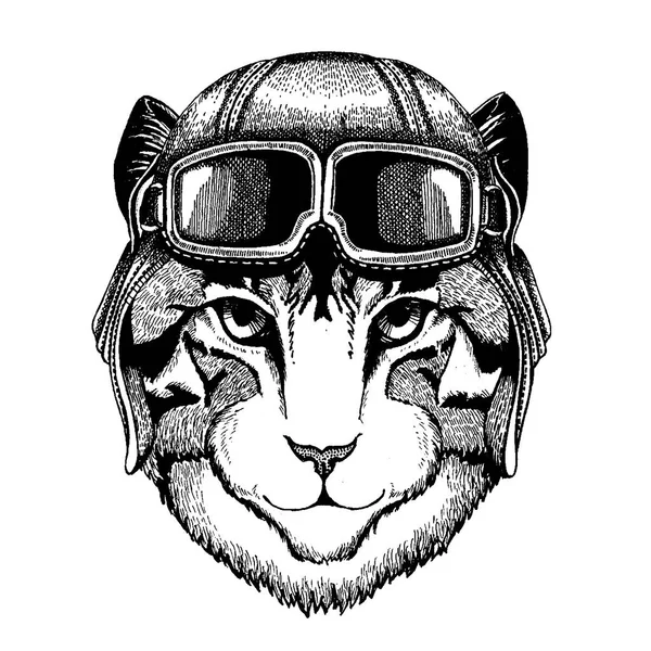 Животное в авиационном шлеме с очками. Векторное изображение. Изображение домашней кошки Ручная иллюстрация для татуировки, эмблемы, значка, логотипа, патча, футболки — стоковый вектор