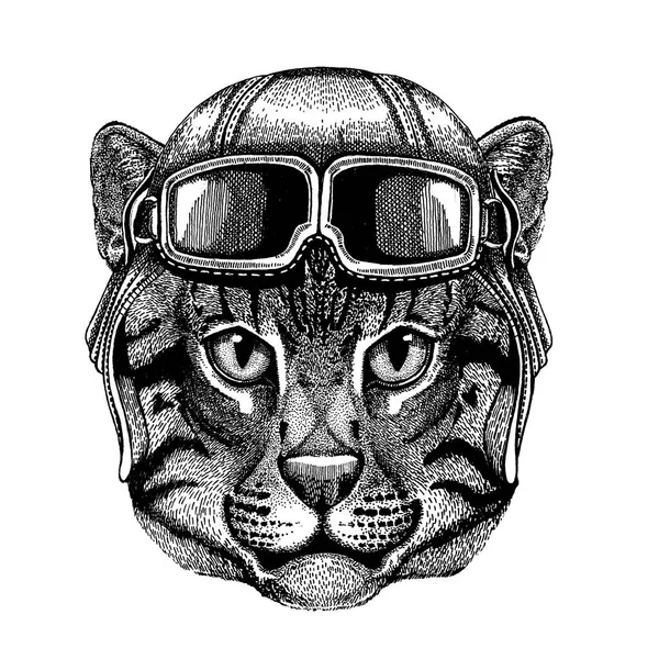 Animal con casco de aviador con gafas. Imagen vectorial. gato salvaje gato de pesca Imagen dibujada a mano para tatuaje, emblema, insignia, logotipo, parche — Archivo Imágenes Vectoriales