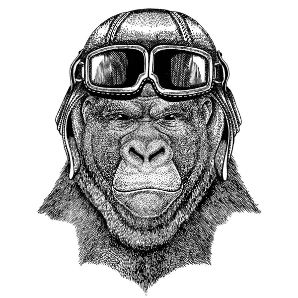 Animal wearing aviator helmet with glasses. Vector picture. Gorilla, monkey, ape Frightful animal Hand drawn image for tattoo, emblem, badge, logo, patch — Stock Vector