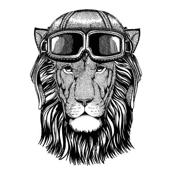 Wilde leeuw. Dierlijke dragen vlieger helm met bril. Vector afbeelding. — Stockvector