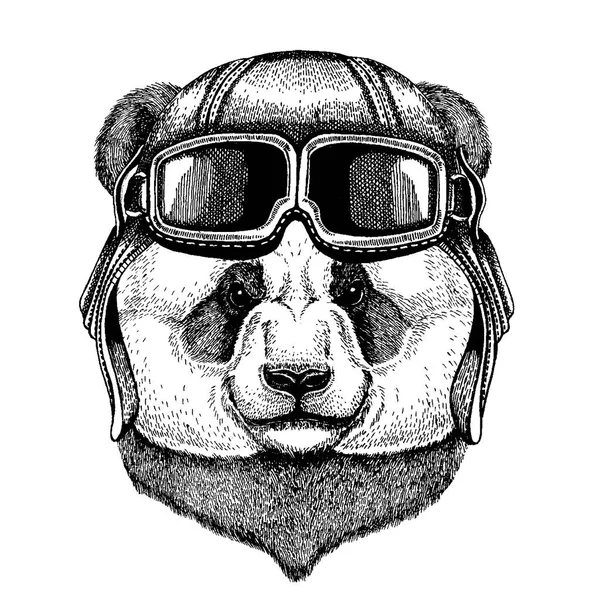 Panda. Oso de bambú. Animal con casco de aviador con gafas. Imagen vectorial . — Archivo Imágenes Vectoriales