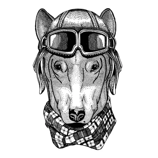 Animal usando capacete aviador com óculos. Imagem vetorial. DOG para design de camiseta ilustração desenhada à mão para tatuagem, emblema, crachá, logotipo, remendo —  Vetores de Stock