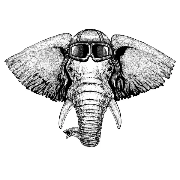 Animal con casco de aviador con gafas. Imagen vectorial. Elefante africano o indio ilustración dibujada a mano para tatuaje, emblema, insignia, logotipo, parche, camiseta — Vector de stock