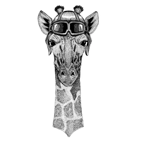 Animal usando capacete aviador com óculos. Imagem vetorial. Camelopard, girafa Imagem desenhada à mão para tatuagem, emblema, emblema, remendo do logotipo —  Vetores de Stock