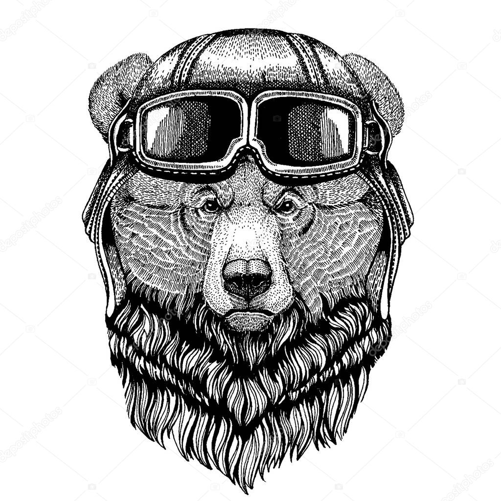 Animal wearing aviator helmet with glasses. Vector picture. Grizzly bear Big wild bear Hand drawn image for tattoo, t-shirt, emblem, badge, logo, patch