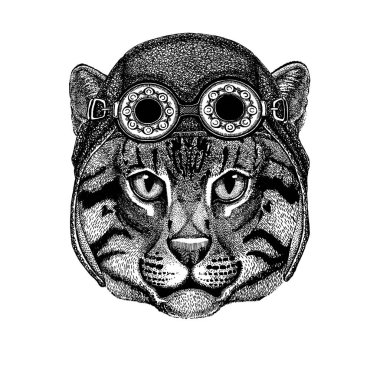 Sevimli hayvan giyiyor motosiklet, havacı kask vahşi kedi balıkçı kedi el çizilmiş resim dövme, logo, amblem, rozet için yama