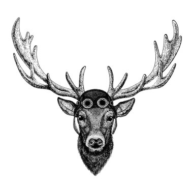 Sevimli hayvan giyiyor motosiklet, havacı kask geyik elle çizilmiş illüstrasyon dövme, logo, amblem, rozet için yama t-shirt