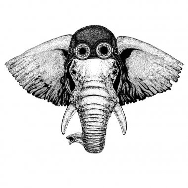 Motosiklet, havacı kask Afrika ya da Hindistan fil elle çizilmiş gösterim amacıyla dövme, amblem, rozet, logo, yama, t-shirt giyen sevimli hayvan