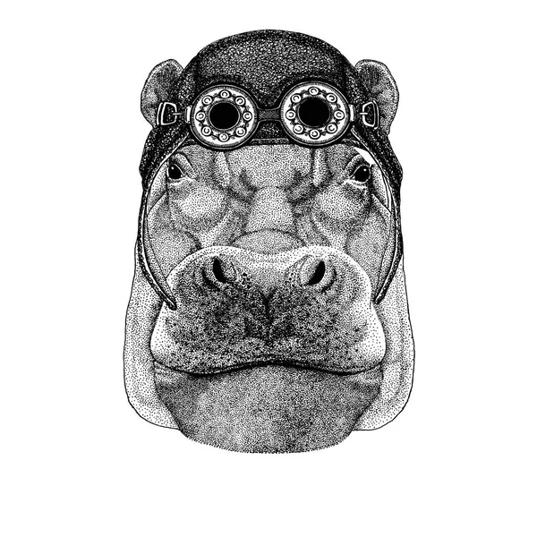Mignon animal en moto, casque d'aviateur Hippo, Hippopotame, monstre, cheval de rivière — Image vectorielle