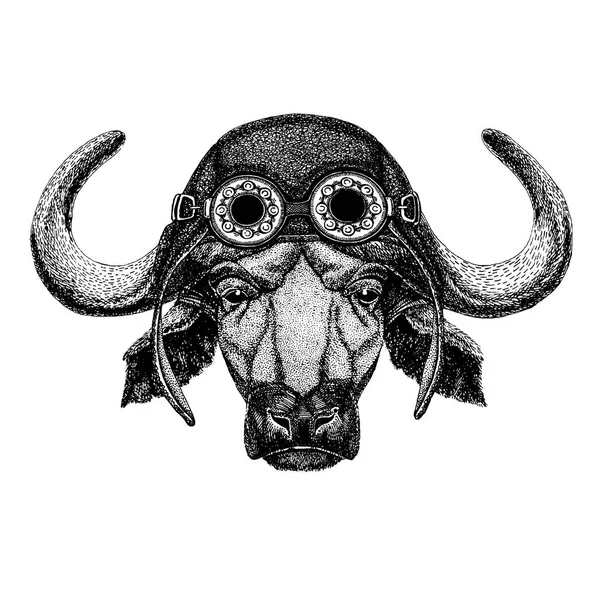 Söt djur bär motorcykel, aviator hjälm Buffalo, bull, ox handritad illustration för tatuering, emblem, badge, logotyp, patch, t-shirt — Stock vektor
