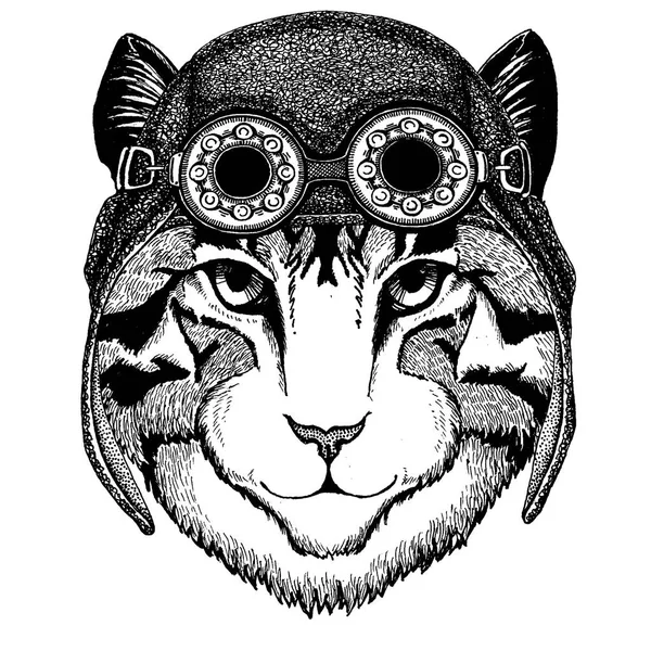 Mignon animal portant moto, casque aviateur Image de chat domestique Illustration dessinée à la main pour tatouage, emblème, insigne, logo, patch, t-shirt — Image vectorielle