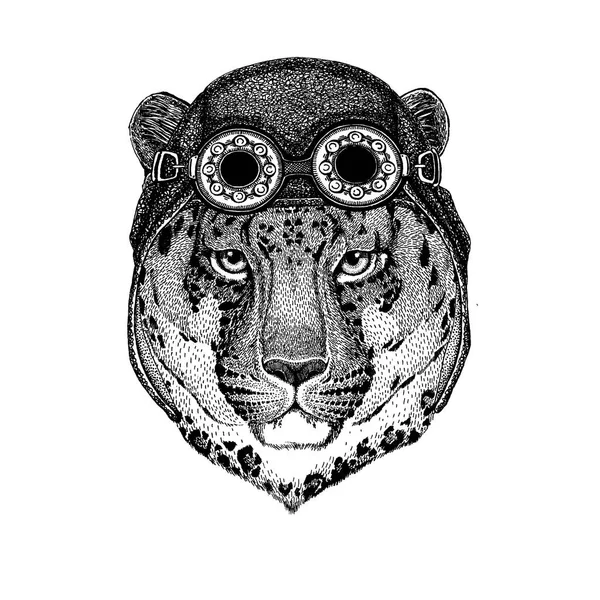 Lindo animal con motocicleta, casco de aviador gato salvaje leopardo gato-o-montaña pantera Imagen dibujada a mano para tatuaje, emblema, insignia, logotipo, parche, camiseta — Vector de stock