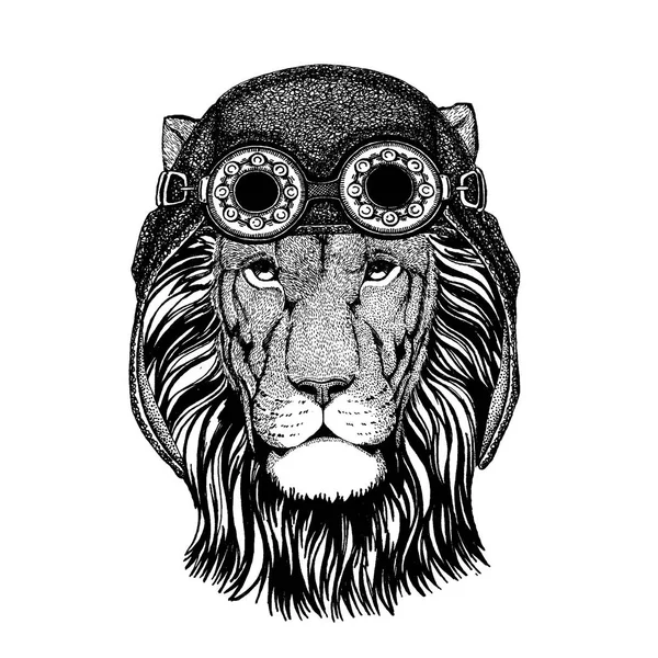 Mignon animal portant une moto, casque aviateur Lion Image dessinée à la main pour tatouage, emblème, insigne, logo, patch, t-shirt — Image vectorielle