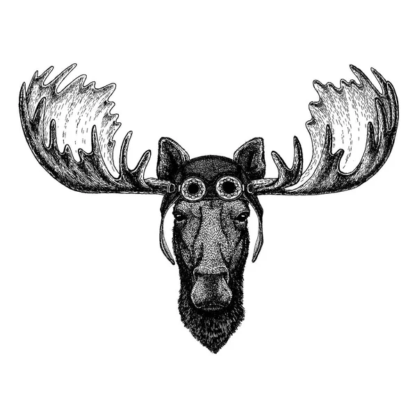 Lindo animal con motocicleta, casco de aviador Moose, alce Ilustración dibujada a mano para tatuaje, emblema, insignia, logotipo, camiseta de parche — Vector de stock