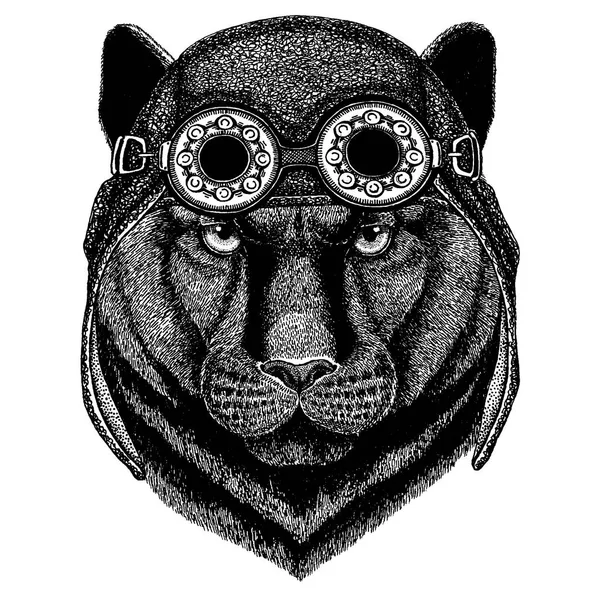 Schattige dieren dragen motorfiets, vlieger helm Panther Puma Cougar wilde kat Hand getekende afbeelding voor tattoo, badge, embleem, logo, patch, t-shirt — Stockvector