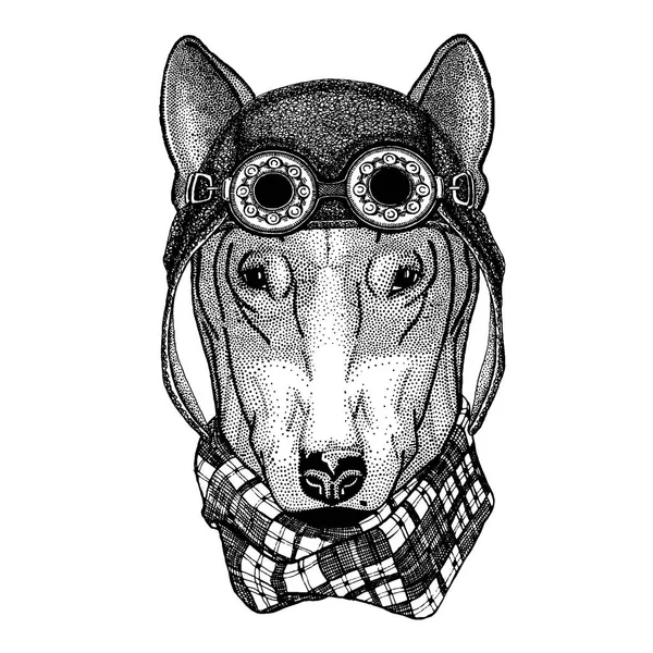 Lindo animal con motocicleta, aviador casco perro para el diseño de la camiseta ilustración dibujada a mano para el tatuaje, emblema, insignia, logotipo, parche — Archivo Imágenes Vectoriales