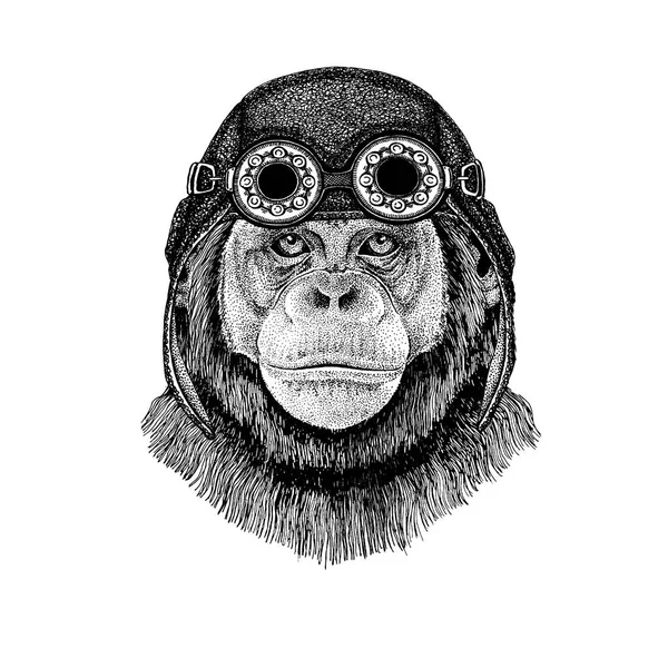 오토바이, 비행 헬멧 침팬지 원숭이 손으로 그린 그림 문신, 휘장, 배지, 로고, 패치, t-셔츠를 입고 귀여운 동물 — 스톡 벡터