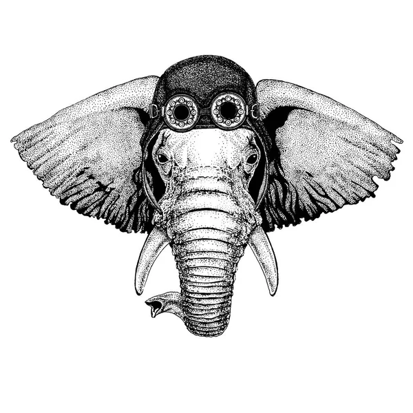 Lindo animal que usa motocicleta, casco de aviador Elefante africano o indio ilustración dibujada a mano para tatuaje, emblema, insignia, logotipo, parche, camiseta — Archivo Imágenes Vectoriales