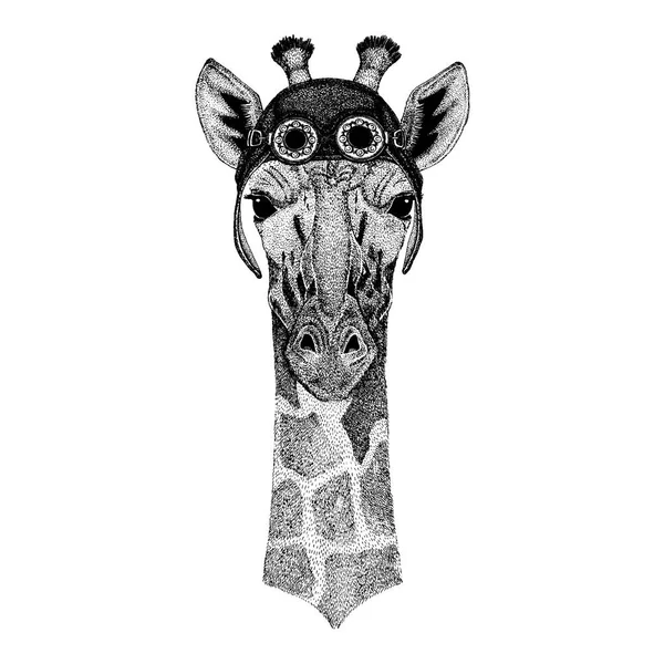 Mignon animal portant une moto, casque d'aviateur Camelopard, girafe Image dessinée à la main pour tatouage, emblème, insigne, logo patch — Image vectorielle