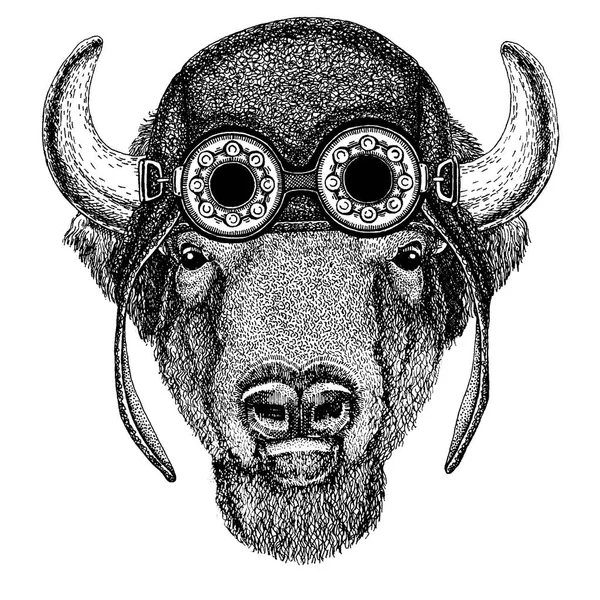 Aranyos állat viselése motorkerékpár, pilóta sisakot Buffalo, Bölény, ökör, bika, kézzel rajzolt kép tetoválás, jelkép, jelvény logo patch — Stock Vector