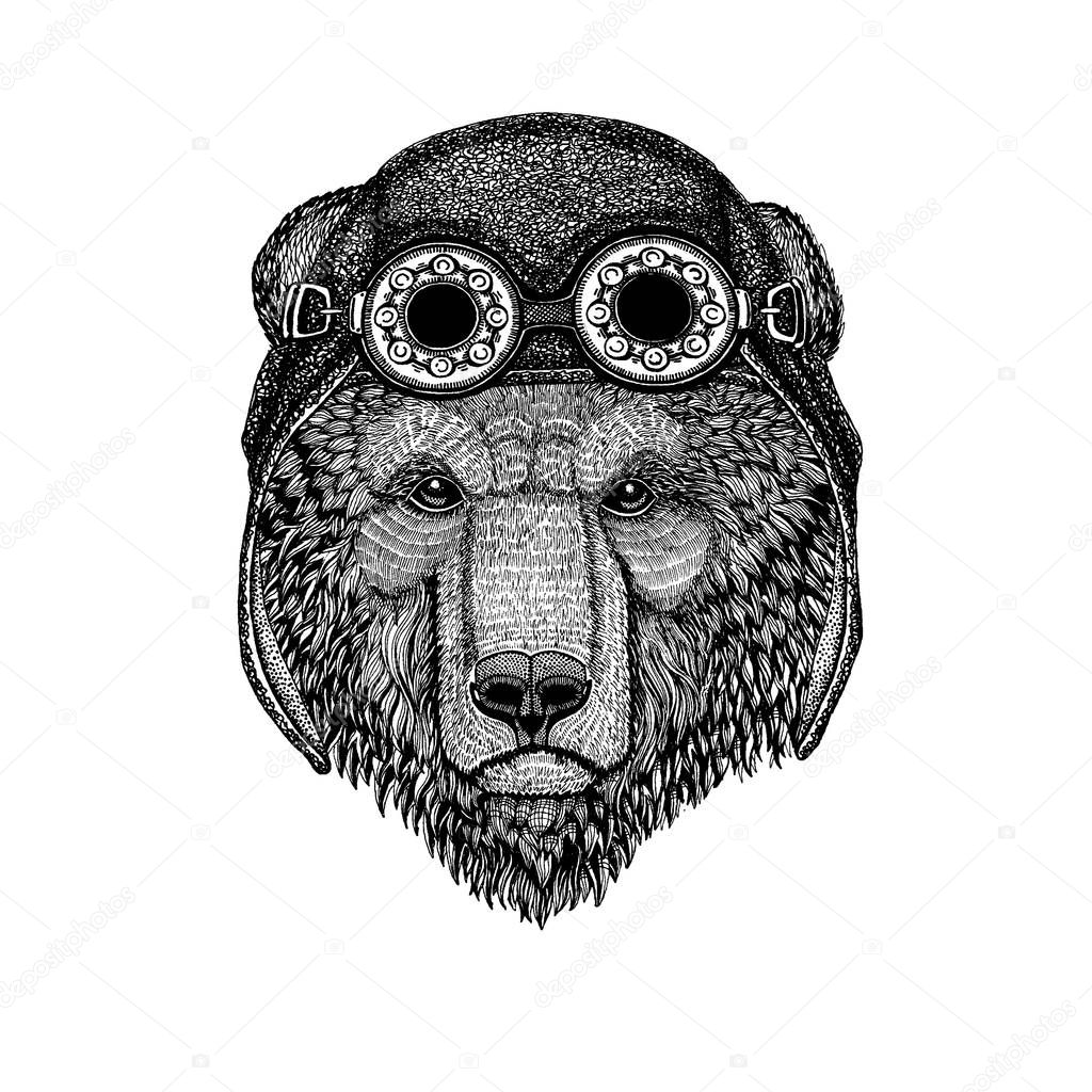 Cute animal wearing motorcycle, aviator helmet Brown bear Russian bear Hand drawn image for tattoo, t-shirt, emblem, badge, logo, patch