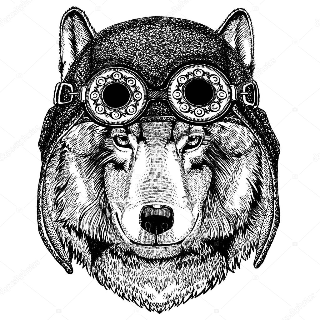 Wolf Dog Hand drawn image for tattoo, emblem, badge, logo, patch
