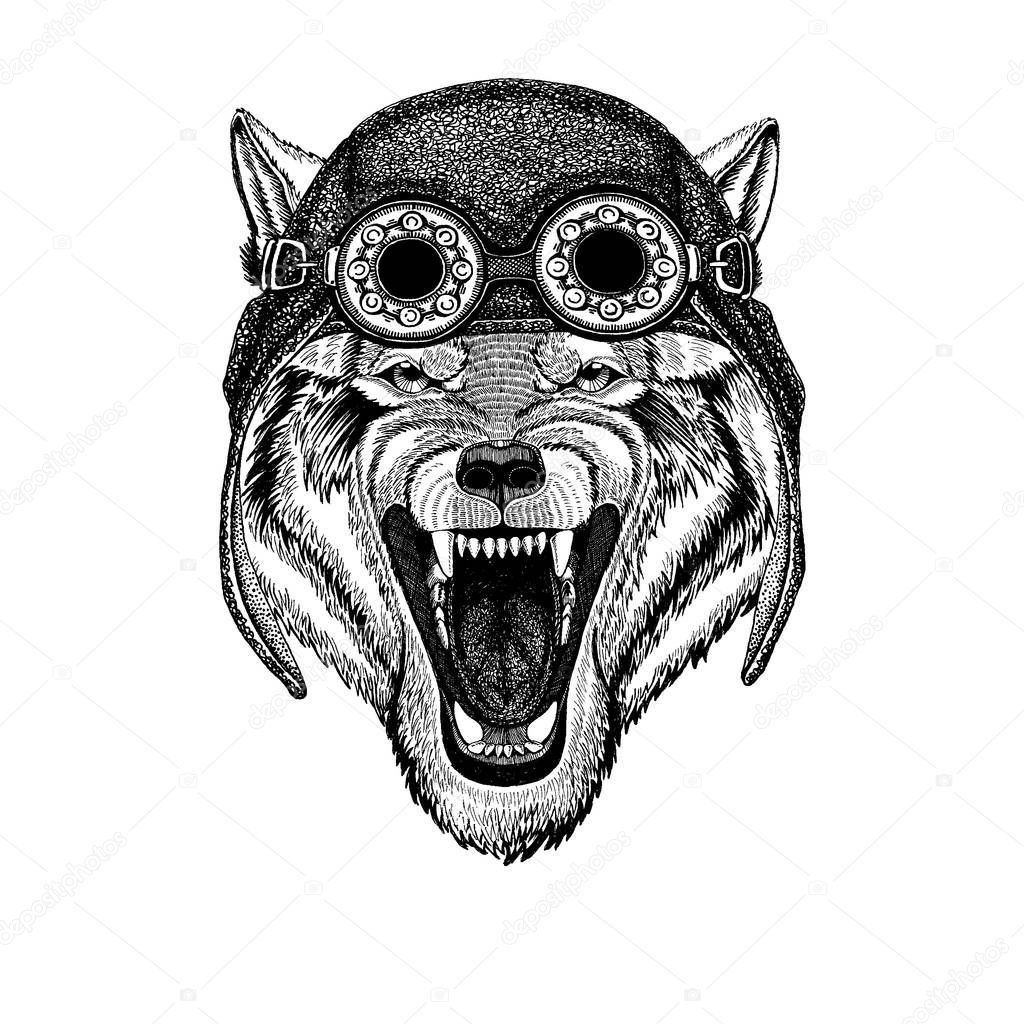 Wolf Dog Wild animal Hand drawn illustration for tattoo, emblem, badge, logo, patch, t-shirt