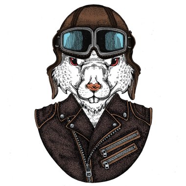 Vahşi havacı fare portresi. Çin 'in mutlu yeni yılı 2020.