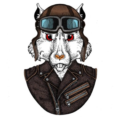 Vahşi havacı fare portresi. Çin 'in mutlu yeni yılı 2020.