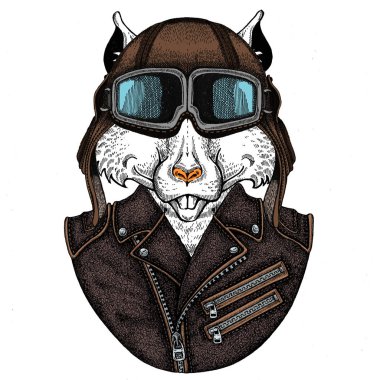 Vahşi havacı fare portresi. Çin 'in mutlu yeni yılı 2020.