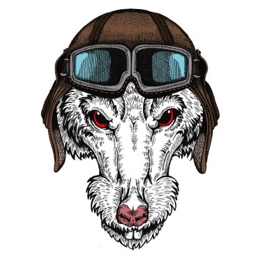 Vahşi havacı fare portresi. Çin 'in mutlu yeni yılı 2020.