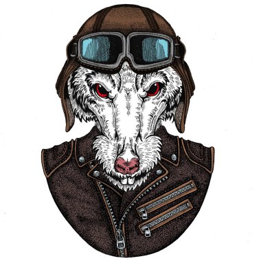 Vahşi havacı fare portresi. Çin 'in mutlu yeni yılı 2020.