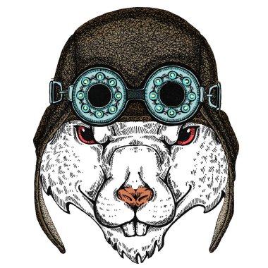 Vahşi havacı fare portresi. Çin 'in mutlu yeni yılı 2020.