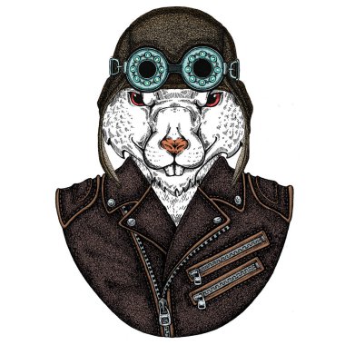 Vahşi havacı fare portresi. Çin 'in mutlu yeni yılı 2020.