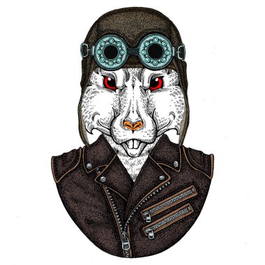 Vahşi havacı fare portresi. Çin 'in mutlu yeni yılı 2020.