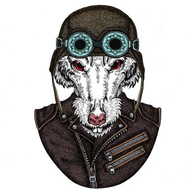 Vahşi havacı fare portresi. Çin 'in mutlu yeni yılı 2020.