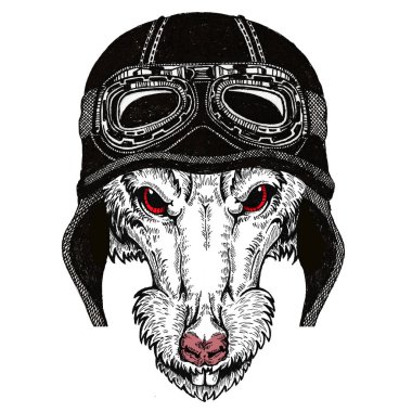 Bisikletli, motosikletli. Fare portresi. Deri bir kaskla. Motosiklet sembolü Çin mutlu yeni yıl 2020. Rock 'çı için hediye.