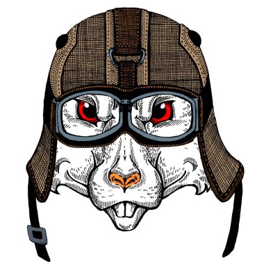 Bisikletli, motosikletli. Fare portresi. Deri bir kaskla. Motosiklet sembolü Çin mutlu yeni yıl 2020. Rock 'çı için hediye.