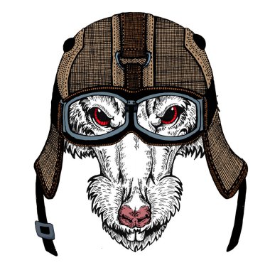 Bisikletli, motosikletli. Fare portresi. Deri bir kaskla. Motosiklet sembolü Çin mutlu yeni yıl 2020. Rock 'çı için hediye.