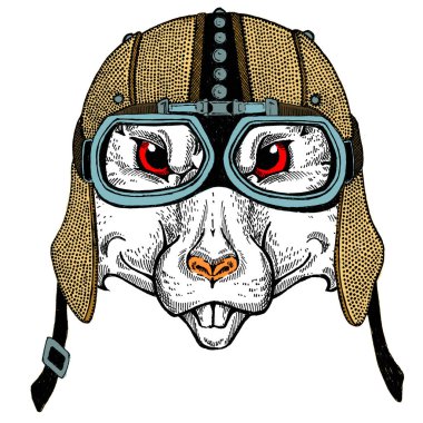 Bisikletli, motosikletli. Fare portresi. Deri bir kaskla. Motosiklet sembolü Çin mutlu yeni yıl 2020. Rock 'çı için hediye.